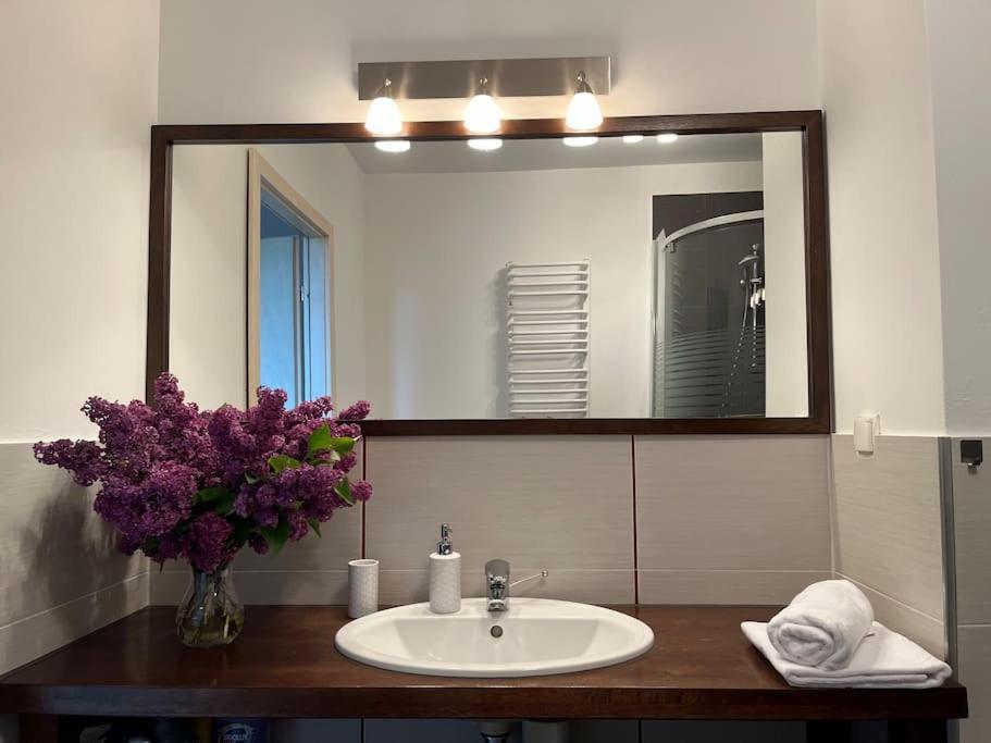Apartament Hemingwaya يلينيا غورا المظهر الخارجي الصورة