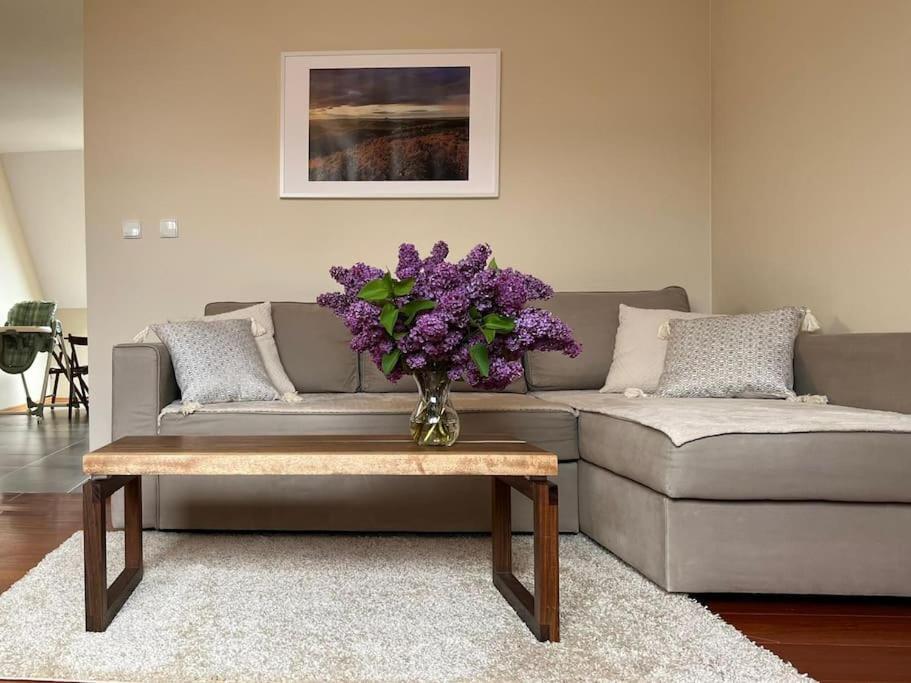 Apartament Hemingwaya يلينيا غورا المظهر الخارجي الصورة